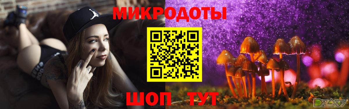 Псилоцибиновые грибы мицелий Красноармейск